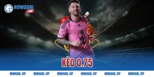 Kèo 0.75 Là Gì Và Cách Tính Chuẩn Nhất Cho Tân Thủ