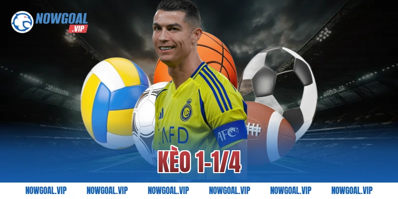 Kèo 1-1/4 Là Gì Và Cách Tính Kèo Chuẩn Xác Nhất