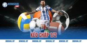 Kèo Chấp 1/2 Là Gì Và Cách Đánh Chuẩn Xác Nhất